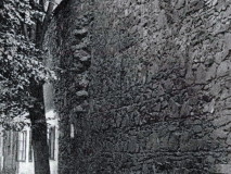 Palackého sady - hradební zeď
