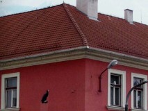 U Černého orla na rohu ul. Budějovické a Budovcovy
